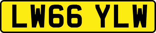 LW66YLW