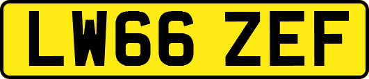 LW66ZEF