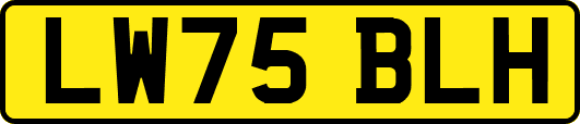 LW75BLH
