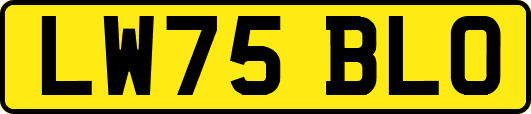 LW75BLO