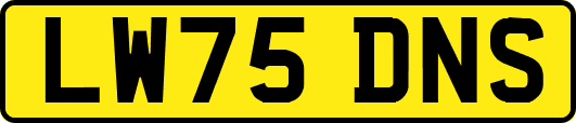 LW75DNS