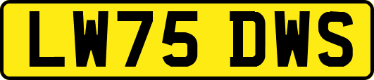 LW75DWS