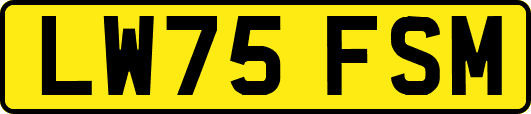 LW75FSM