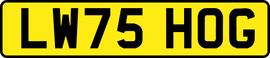 LW75HOG