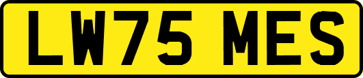 LW75MES