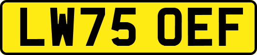 LW75OEF