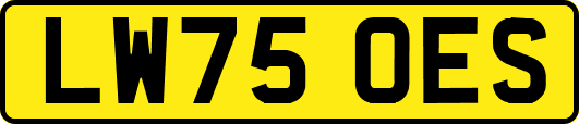 LW75OES