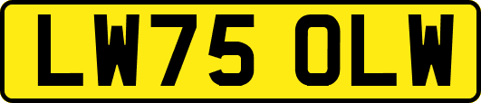 LW75OLW