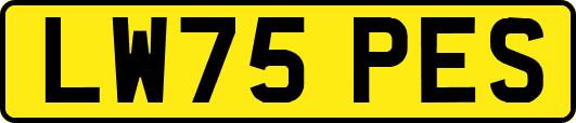 LW75PES