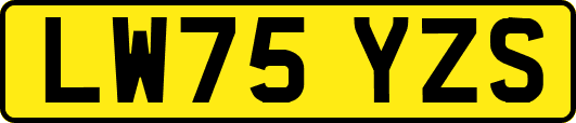 LW75YZS