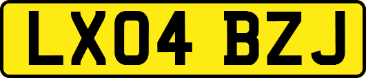LX04BZJ