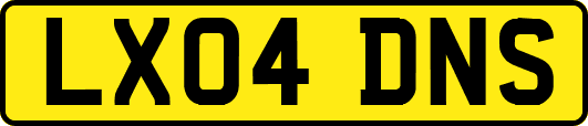 LX04DNS
