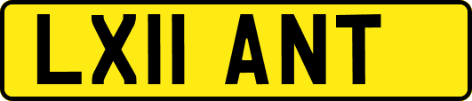 LX11ANT