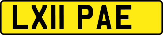 LX11PAE
