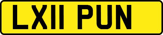 LX11PUN