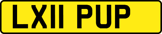 LX11PUP