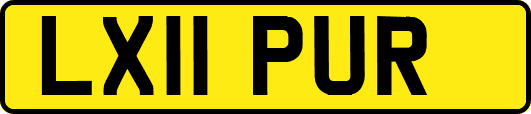 LX11PUR