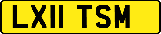 LX11TSM