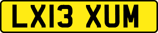 LX13XUM