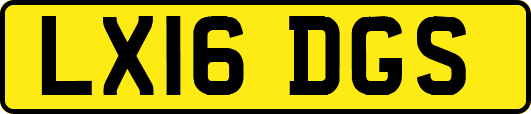 LX16DGS