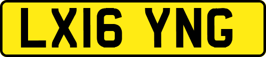 LX16YNG