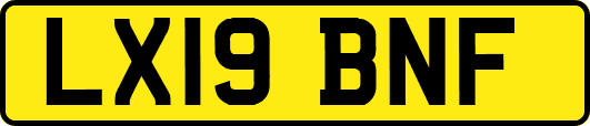 LX19BNF