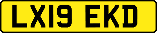 LX19EKD
