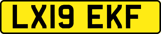 LX19EKF
