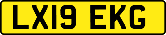 LX19EKG