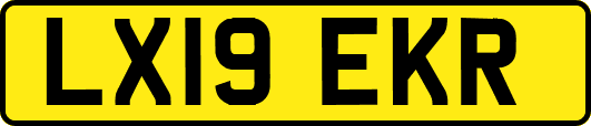 LX19EKR