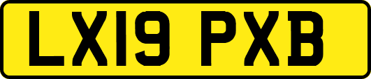 LX19PXB