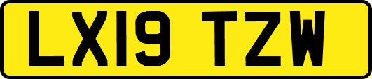 LX19TZW