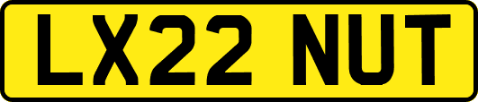 LX22NUT
