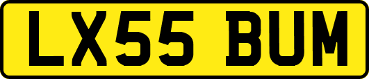 LX55BUM