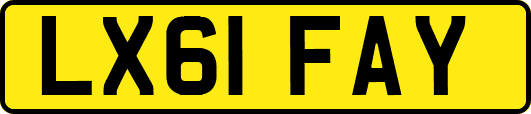 LX61FAY