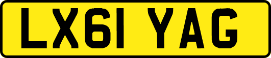 LX61YAG