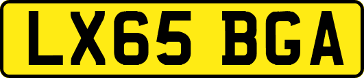 LX65BGA