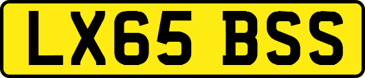 LX65BSS