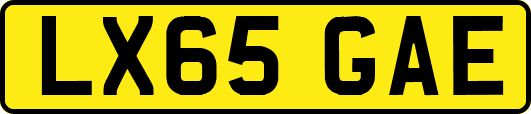 LX65GAE