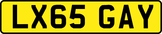 LX65GAY