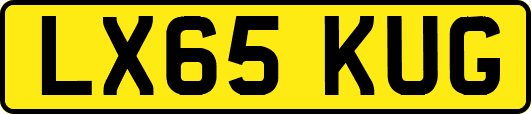 LX65KUG