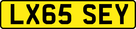 LX65SEY