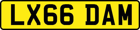 LX66DAM