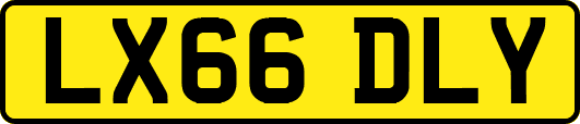LX66DLY