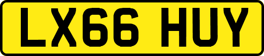 LX66HUY