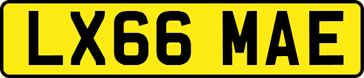 LX66MAE