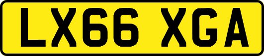 LX66XGA
