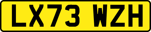 LX73WZH