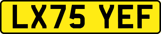 LX75YEF