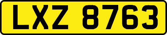 LXZ8763